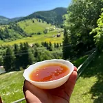 بيت للعطل «пасіка» відпочинок в карпатах *