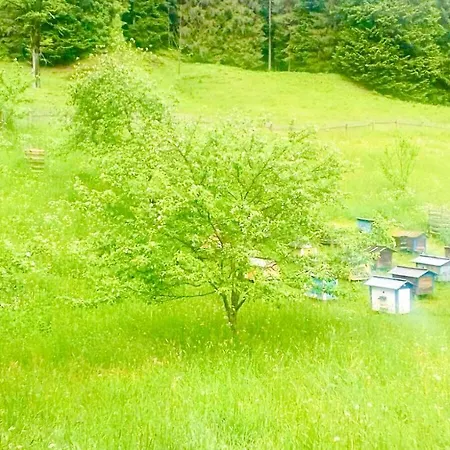 «пасіка» відпочинок в карпатах Casa de Férias Zelene