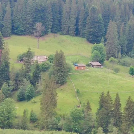 «пасіка» відпочинок в карпатах Zelene