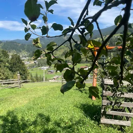 «пасіка» відпочинок в карпатах