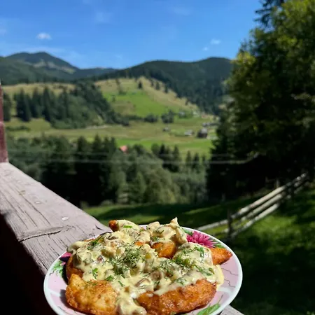 «пасіка» відпочинок в карпатах *