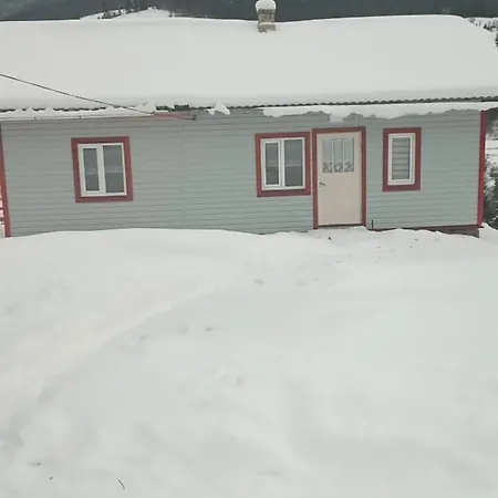Holiday home «пасіка» відпочинок в карпатах