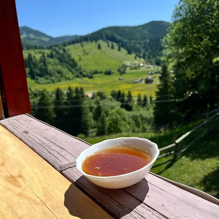 «пасіка» відпочинок в карпатах Ferienhaus Zelene