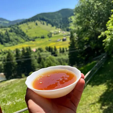 بيت للعطل «пасіка» відпочинок в карпатах *