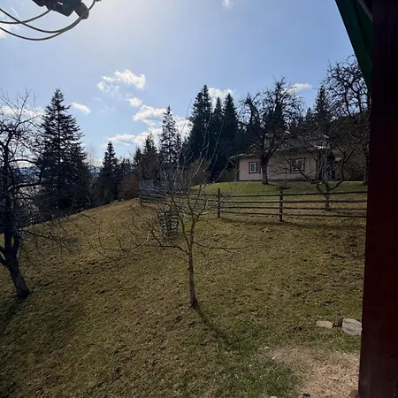 Holiday home «пасіка» відпочинок в карпатах *