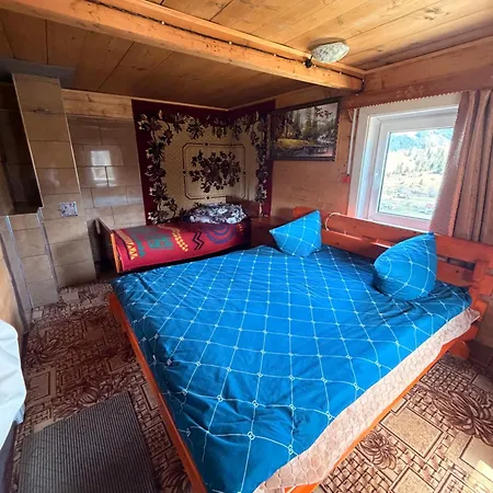 Holiday home «пасіка» відпочинок в карпатах *