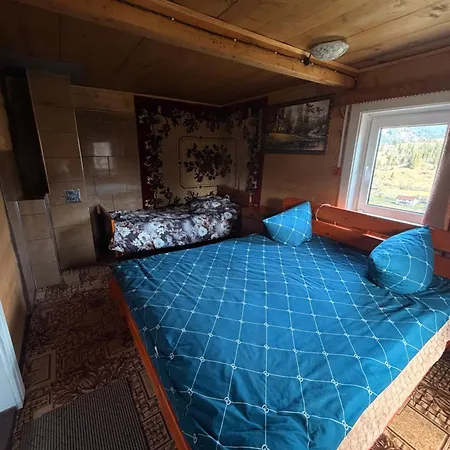 «пасіка» відпочинок в карпатах Holiday home