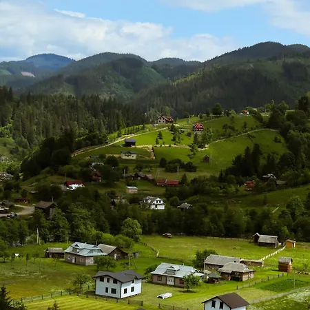 Holiday home «пасіка» відпочинок в карпатах Zelene