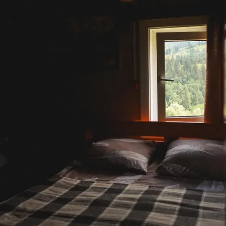 Holiday home «пасіка» відпочинок в карпатах *
