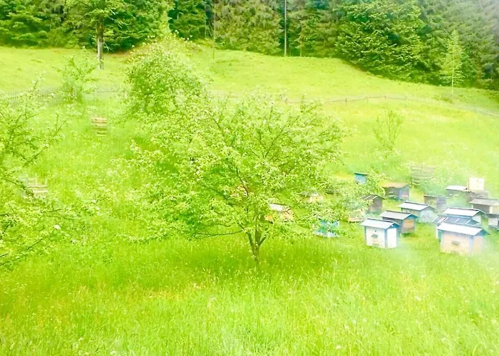 «пасіка» відпочинок в карпатах Holiday home Zelene