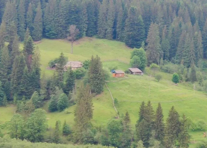 «пасіка» відпочинок в карпатах Zelene