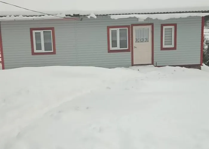 Holiday home «пасіка» відпочинок в карпатах