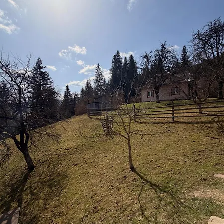 Ferienhaus «пасіка» відпочинок в карпатах *