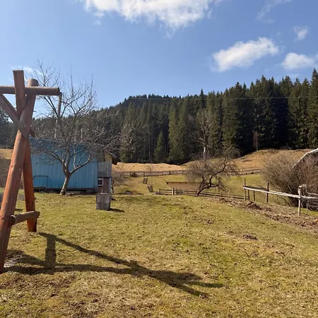 «пасіка» відпочинок в карпатах Zelene